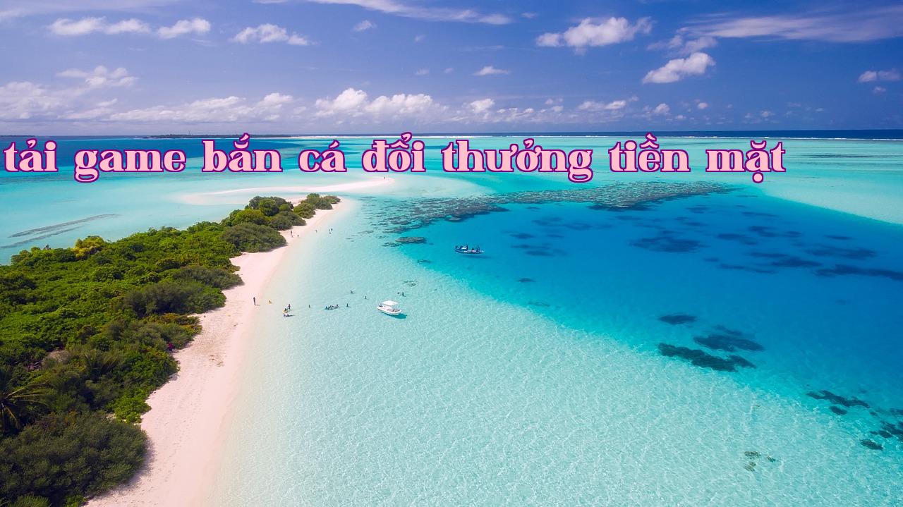 Xu hướng tìm kiếm các thương hiệu điện thoại - nohu club tai